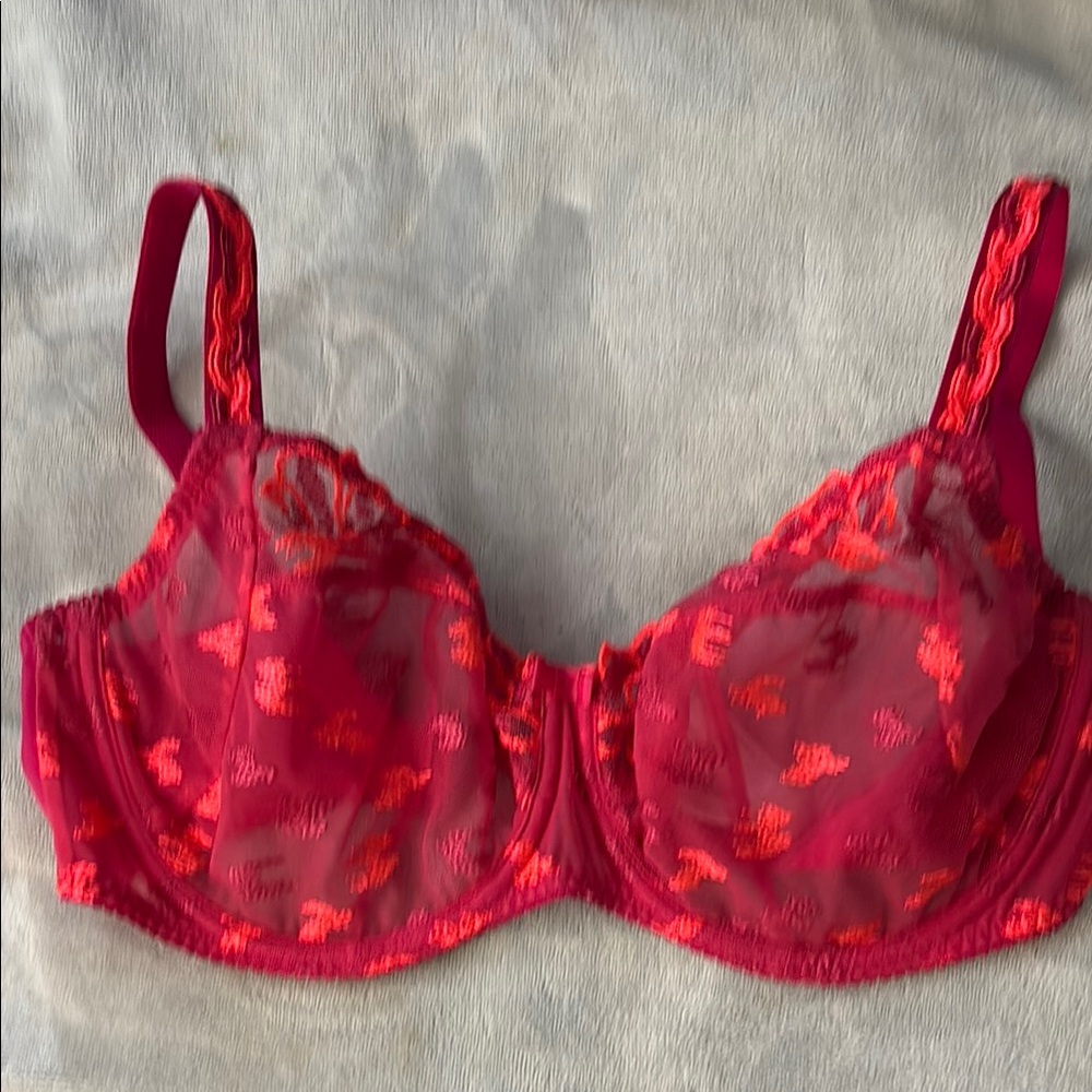 Sheer Red Lace Bra